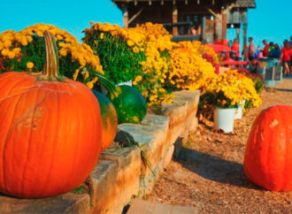 Festival de Calabazas llega al Parque Guanajuato Bicentenario: un mes de magia y diversión familiar