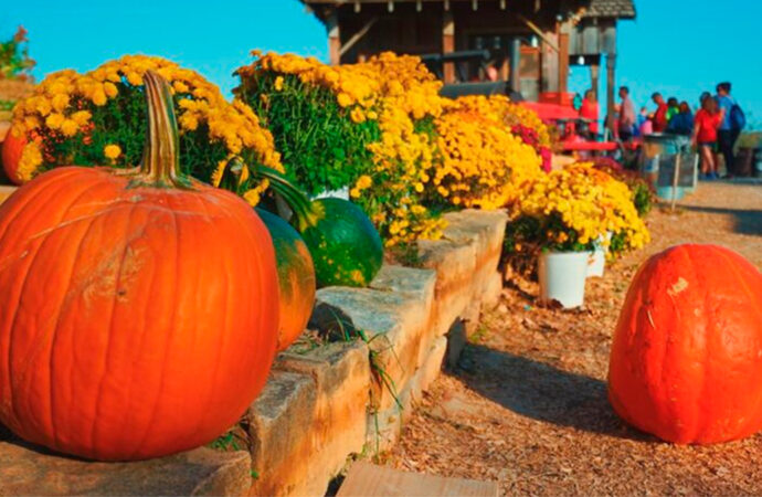 Festival de Calabazas llega al Parque Guanajuato Bicentenario: un mes de magia y diversión familiar