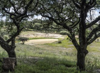 Celebra Guanajuato conservación de Áreas Naturales Protegidas