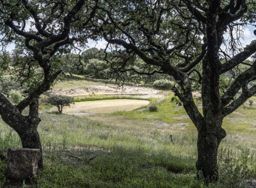Celebra Guanajuato conservación de Áreas Naturales Protegidas