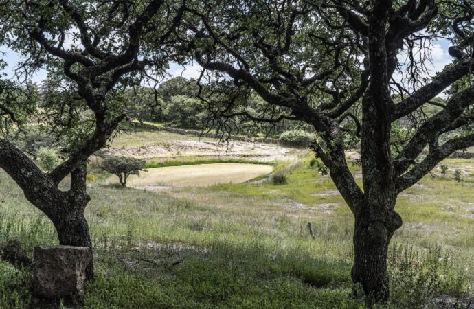 Celebra Guanajuato conservación de Áreas Naturales Protegidas