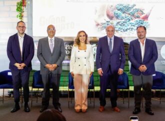 Ya vienen las Vendimias 2026: la temporada en la que Guanajuato se brinda a sí mismo