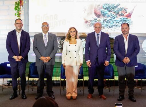 Ya vienen las Vendimias 2026: la temporada en la que Guanajuato se brinda a sí mismo