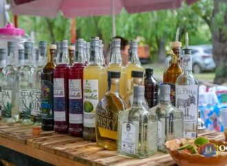 Vive el Festival del Vino, Mezcal y Escamoles en Ocampo este fin de semana