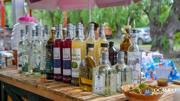 Vive el Festival del Vino, Mezcal y Escamoles en Ocampo este fin de semana