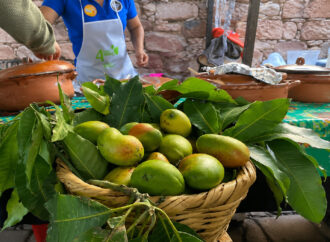 Festival del Mango llenará de sabor el fin de semana en Pénjamo