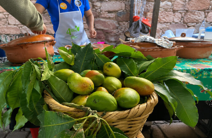 Festival del Mango llenará de sabor el fin de semana en Pénjamo