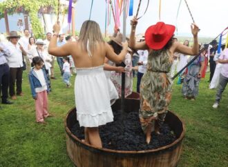Vive una vendimia entre vino y sabor en El Paraíso