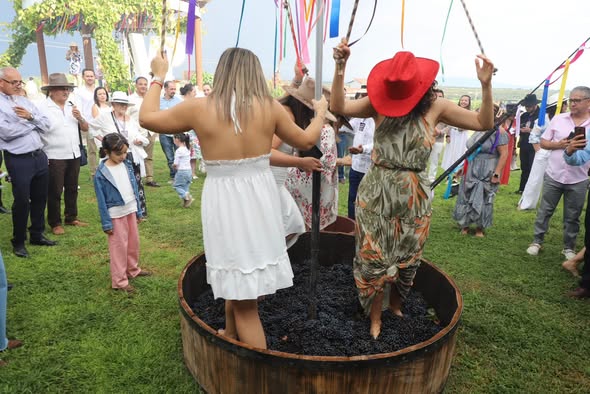 Vive una vendimia entre vino y sabor en El Paraíso
