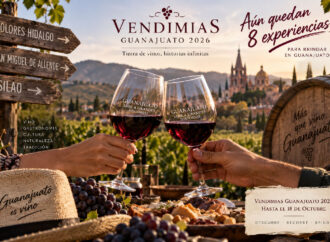 Ocho vendimias que aún puedes vivir en Guanajuato